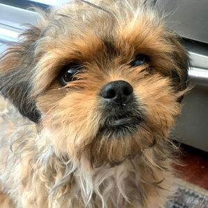 Meet your Posher, Cory